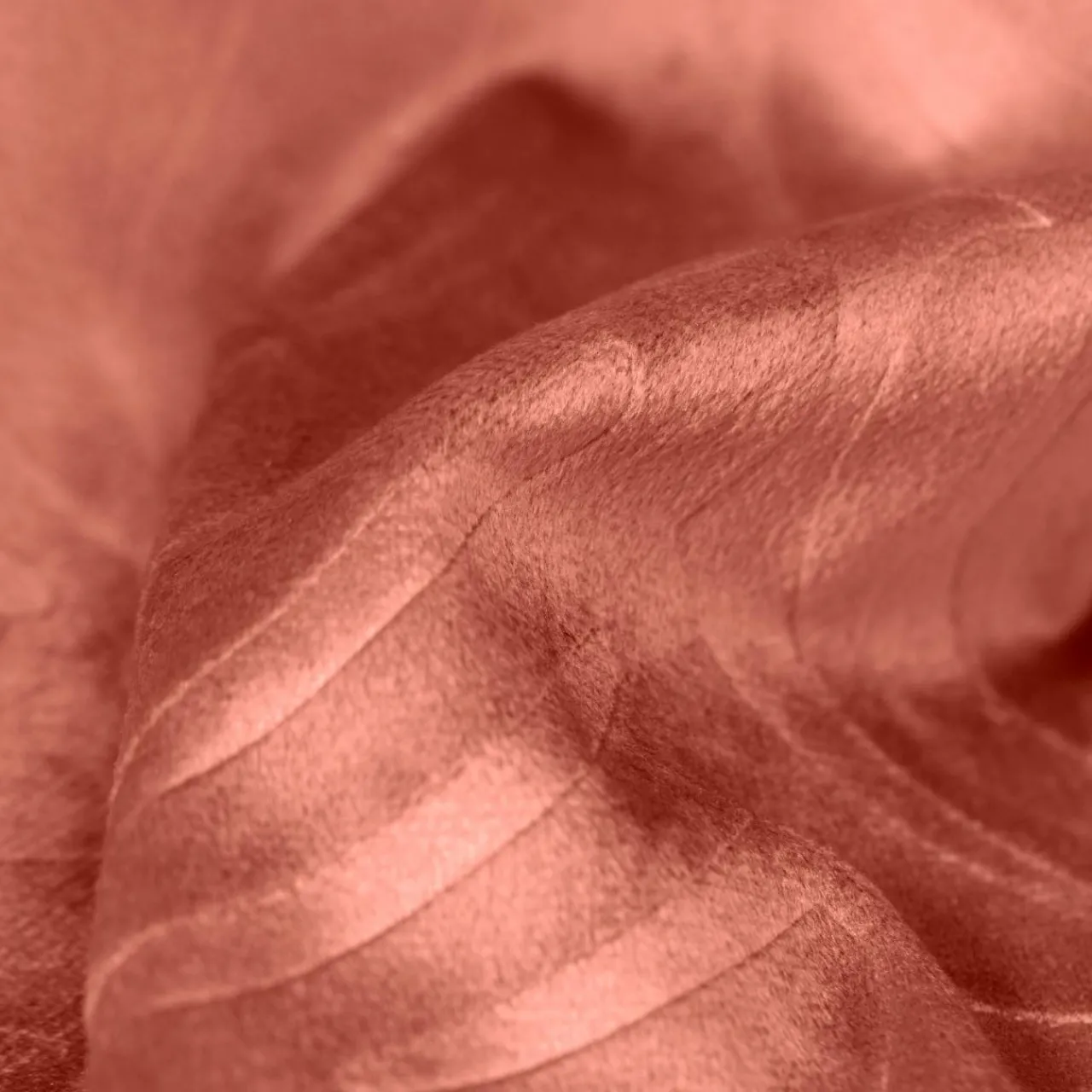 Coussin Et Housse|EMINZA Coussin carré velours (60 x 60 cm) Fern Terracotta