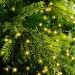 Guirlande Lumineuse|KAEMINGK Guirlande lumineuse 7,50 m 350 LED câble vert Luxe Blanc chaud Champagne Blanc chaud Champagne - câble vert