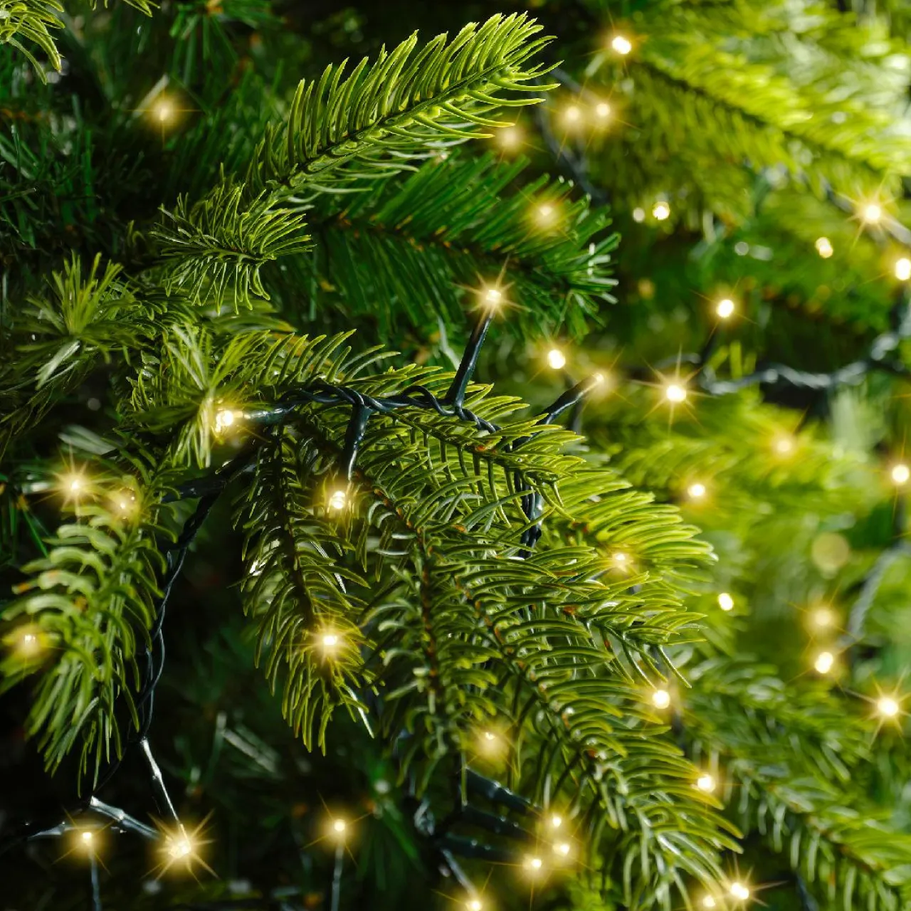 Guirlande Lumineuse Grand Format|Guirlande Lumineuse|KAEMINGK Guirlande lumineuse 22,50 m 1000 LED câble vert Luxe Blanc chaud Champagne Blanc chaud Champagne - câble vert