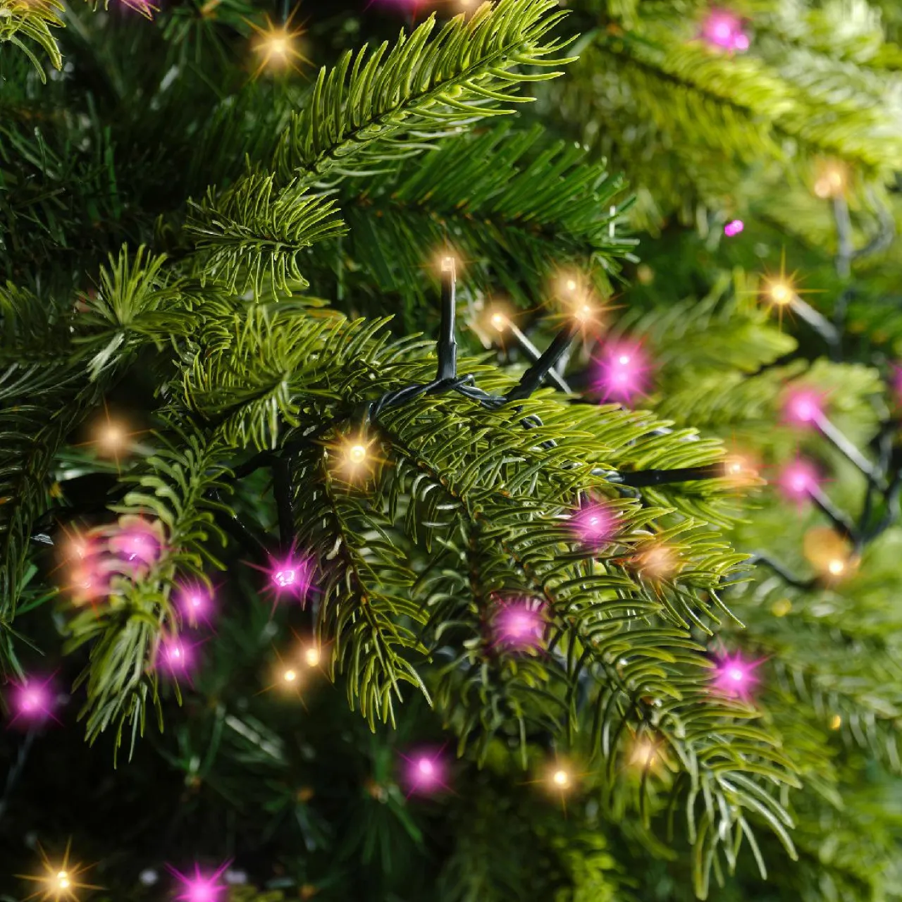 Guirlande Lumineuse|KAEMINGK Guirlande lumineuse 11 m 500 LED câble vert Luxe Bicolore Rose et blanc Bicolore Blanc / Rose - câble vert