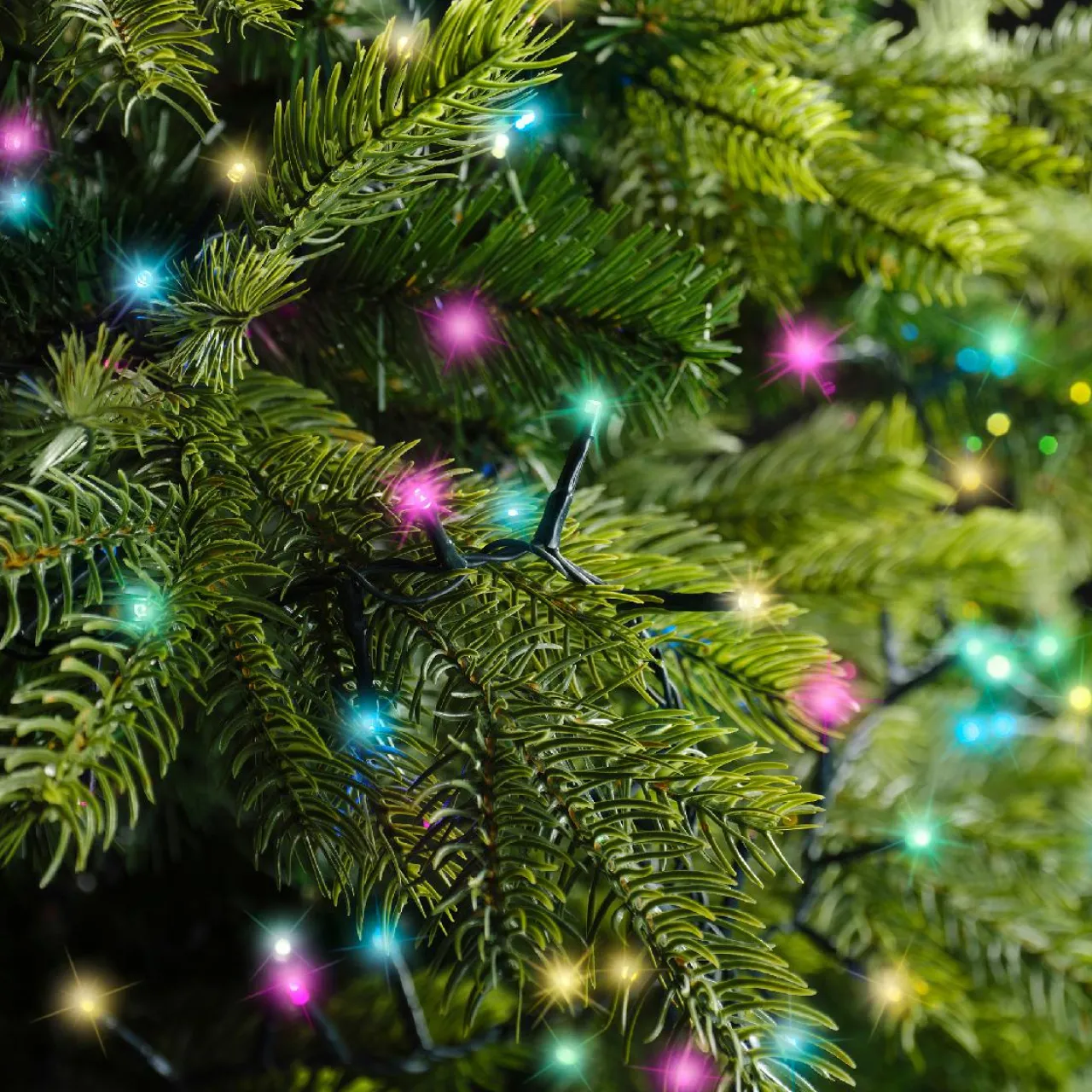 Guirlande Lumineuse|KAEMINGK Guirlande lumineuse 16 m 750 LED câble vert Luxe Multicolore pastel Multicolore Pastel Câble Vert