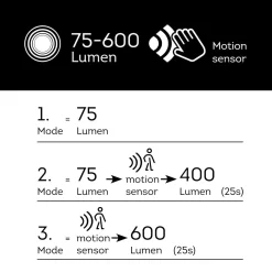 Luminaire Jardin|Eclairage Extérieur|KAEMINGK Lampe murale solaire 600 lumens (H12,5 cm) Elite Gris Anthracite