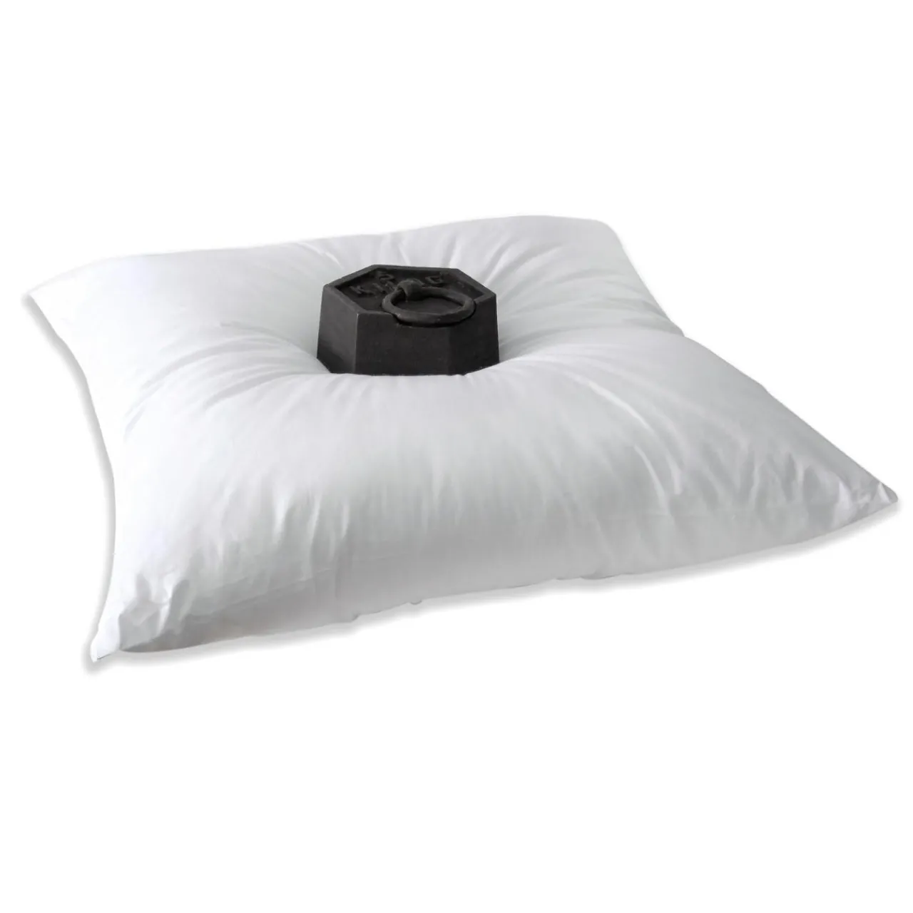 Couette, Oreiller, Traversin|EMINZA Lot de 2 oreillers carrés moelleux (60 x 60 cm) Volume Blanc