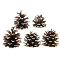Déco De Table|KAEMINGK Lot de 5 pommes de pin Pinus nigra enneigées Naturel Marron