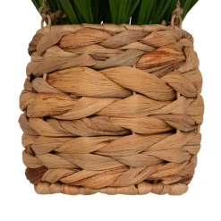 Plante Artificielle|Atmosphera, cru017dateur d'intu017drieur Plante artificielle suspendue dans pot tressé (H27 cm) Moda Costa Vert