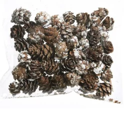 Déco De Table|KAEMINGK Sachet de pommes de pin (45 gr) Naturel