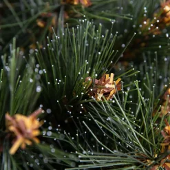 Sapin Artificiel De Noël|EMINZA Sapin artificiel de Noël (H180 cm) Stockholm Vert finition perlée Vert givré