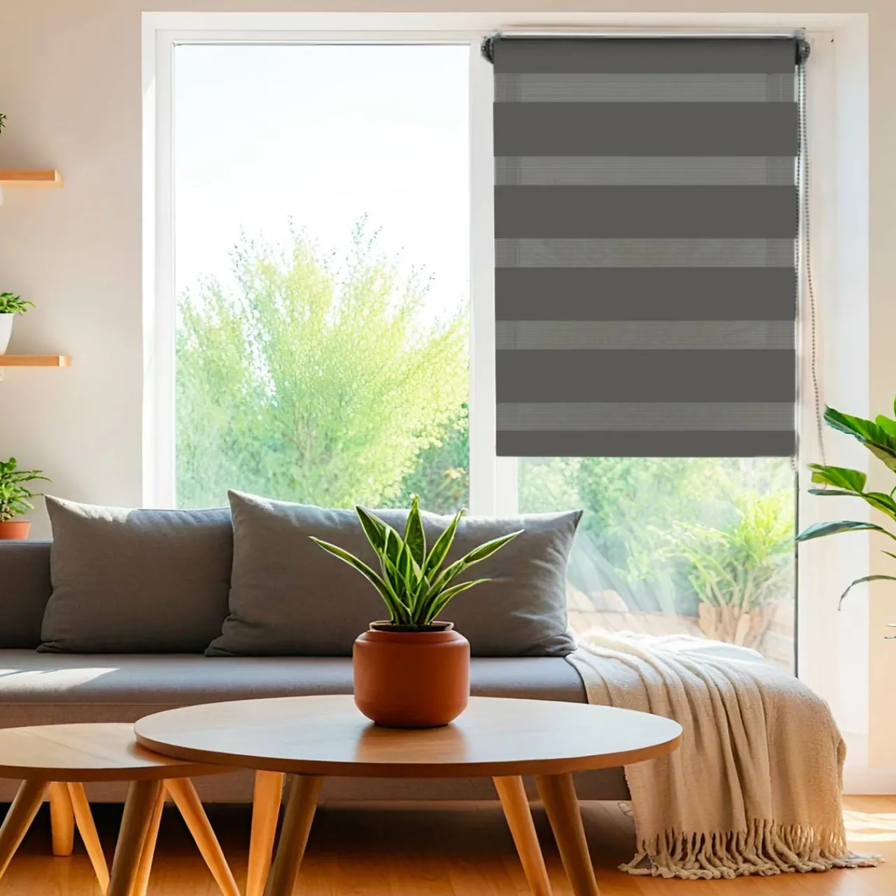 Store|LUANCE Store enrouleur Jour / Nuit (60 x 250 cm) Gris Anthracite