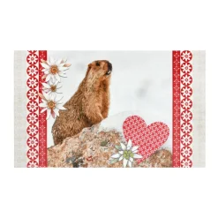 Tapis Multi-Usage|STOF Tapis antidérapant (45 x 75 cm) Beaufort Multicolore