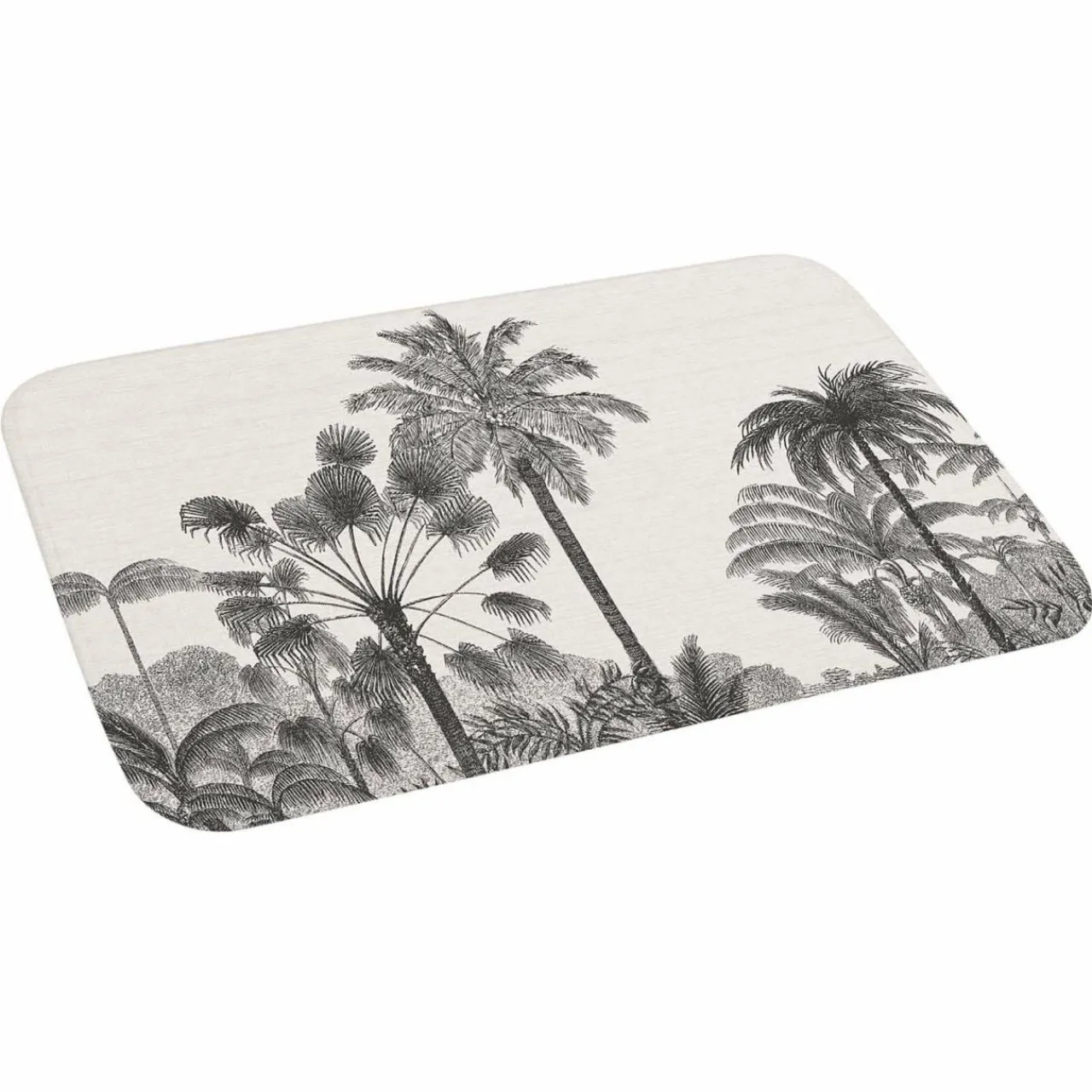 Tapis Salle De Bain/Wc|DOUCEUR D'INTERIEUR Tapis de bain microfibre (45 x 75 cm) Cocoty Noir
